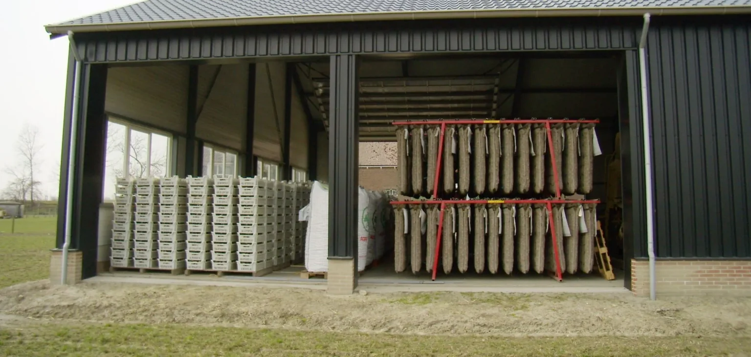 Joppe voorkiemen in een trekschuur