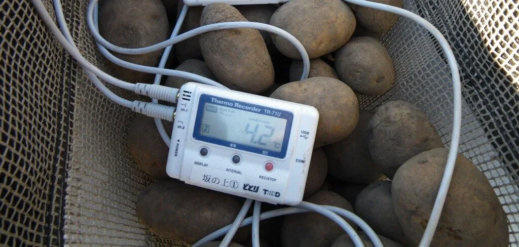 Controleer de temperatuur van uw pootgoed in de voorkiemzakken